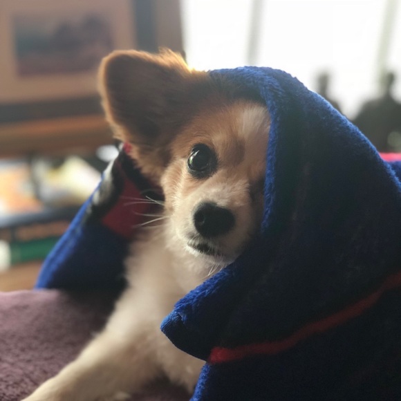 Meet your Posher, Julia - Picture 5 of 5